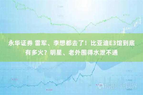 永华证券 雷军、李想都去了！比亚迪E3馆到底有多火？明星、老外围得水泄不通