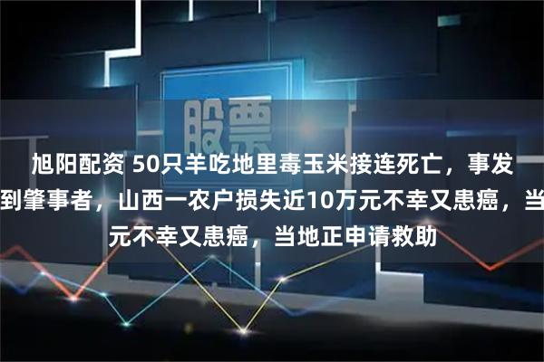 旭阳配资 50只羊吃地里毒玉米接连死亡，事发近半年仍未找到肇事者，山西一农户损失近10万元不幸又患癌，当地正申请救助