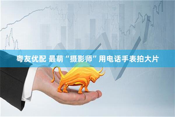 粤友优配 最萌“摄影师”用电话手表拍大片