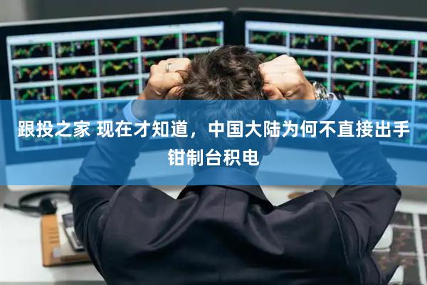 跟投之家 现在才知道，中国大陆为何不直接出手钳制台积电