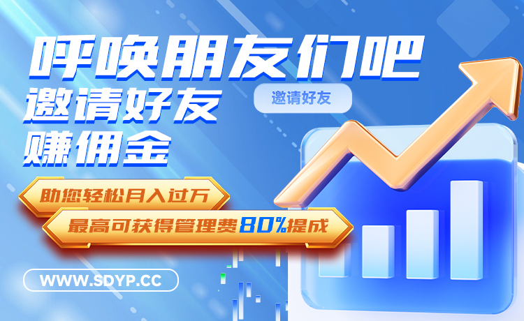 网配查